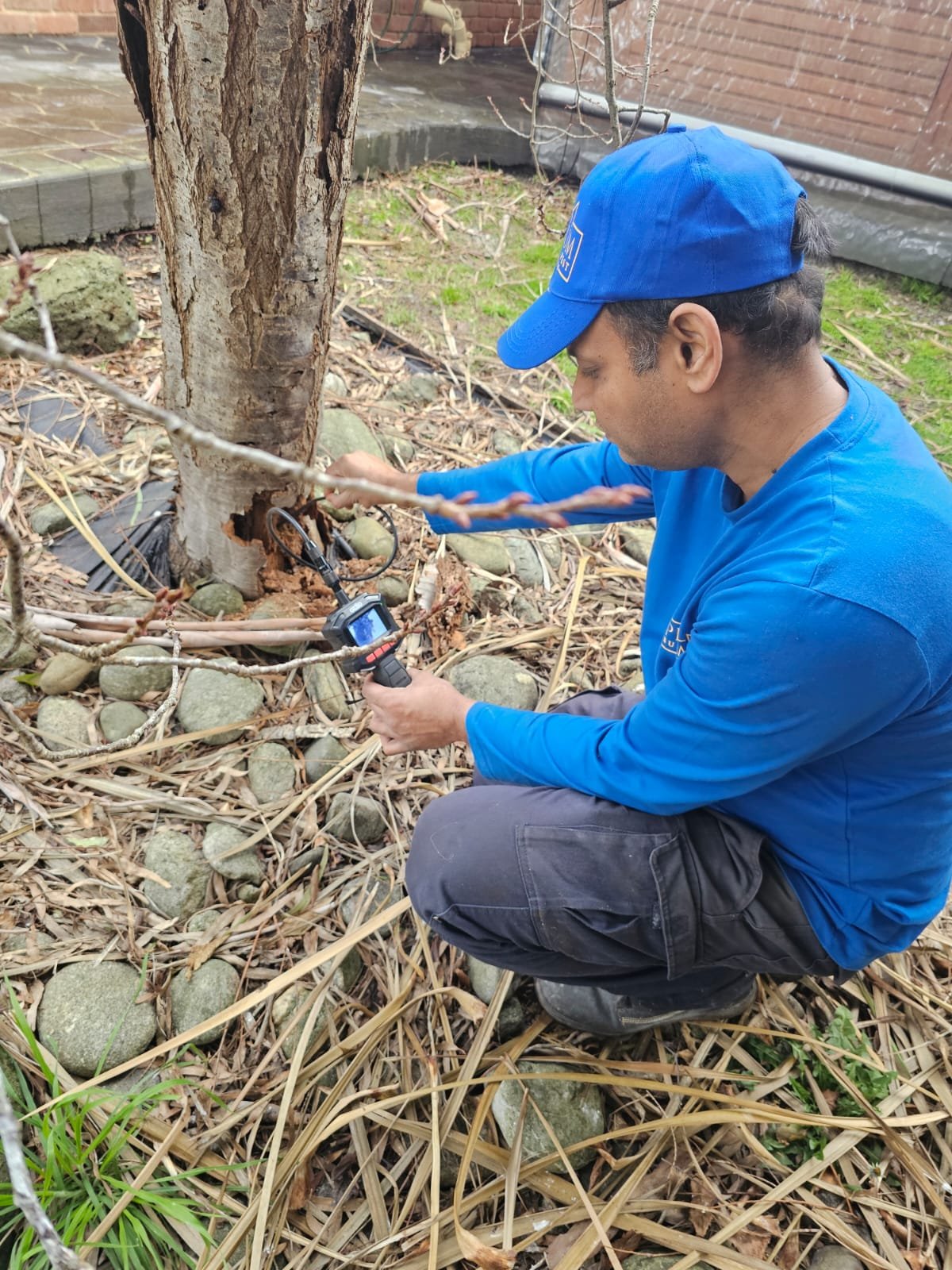 Premium Building & Pest Inspection Photo 20