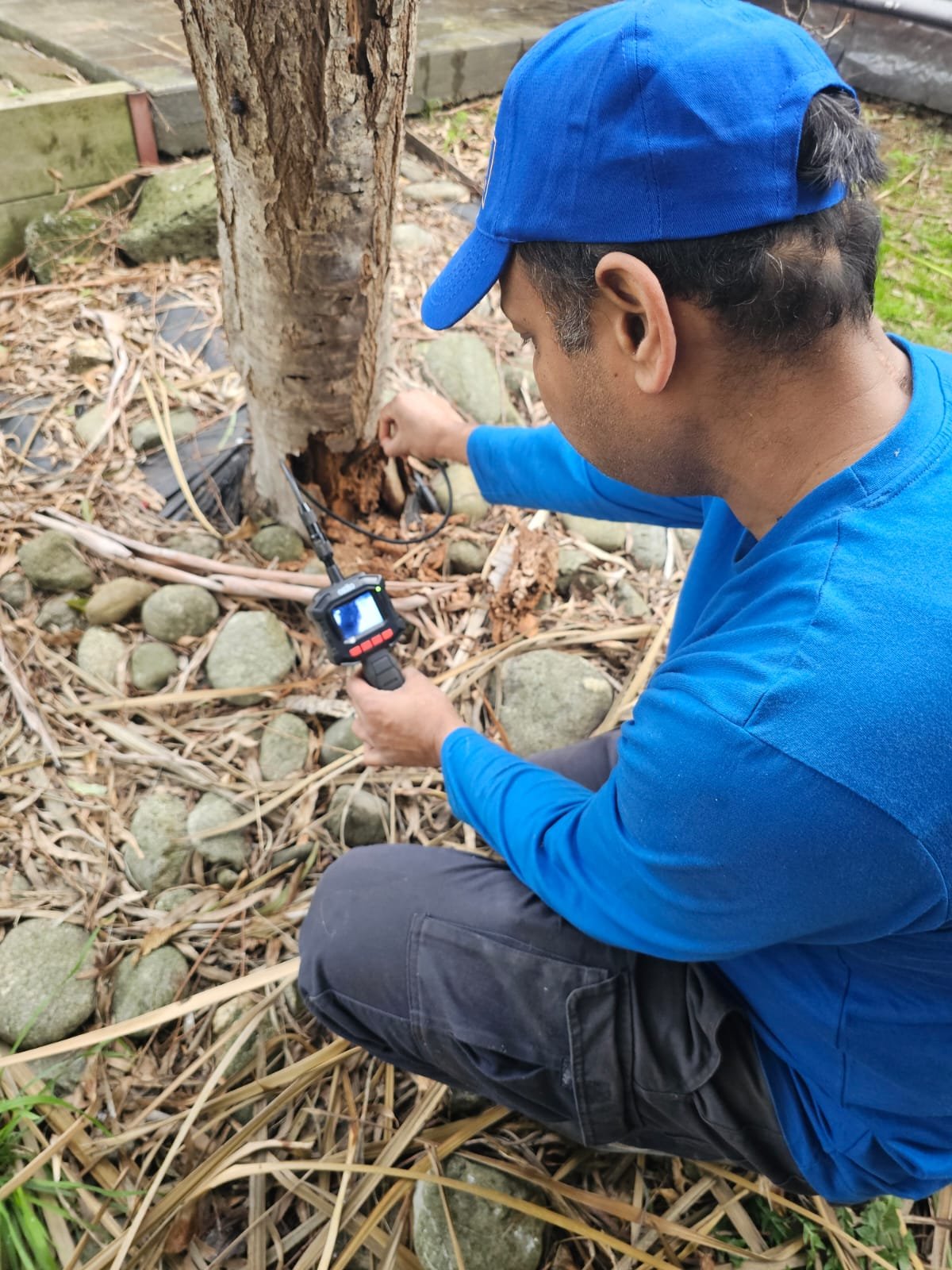 Premium Building & Pest Inspection Photo 21