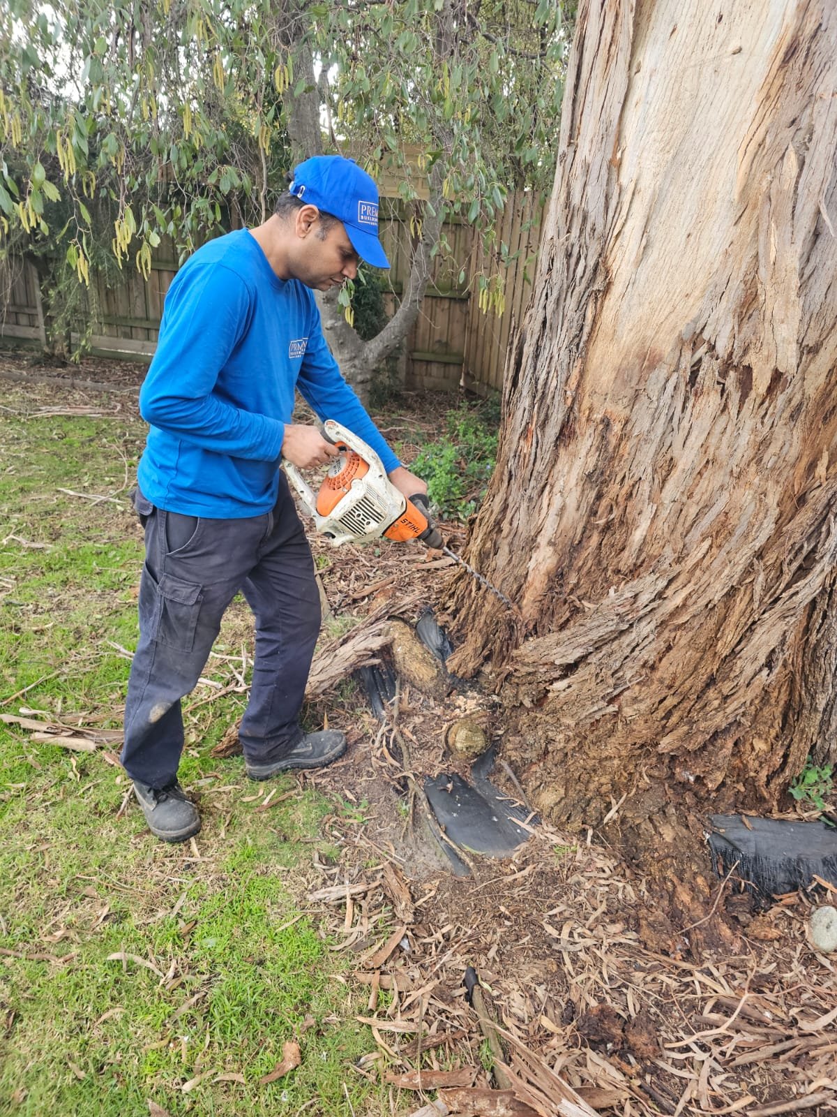 Premium Building & Pest Inspection Photo 22